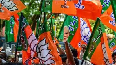 हरियाणा जिला परिषद चुनाव में चला BJP का जादू, तीन जिलों की 7 सीटों पर खिला कमल